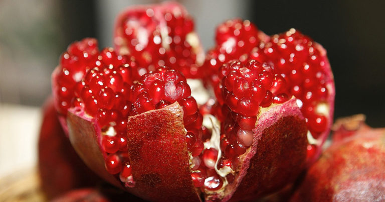 So Can I Lose Weight By Eating These Foods?